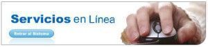 nuevos servicios en línea