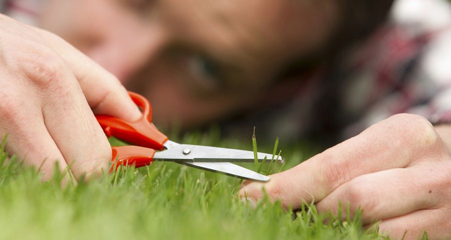 la_perfeccion_no_siempre_es_perfecta