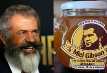 Mel Gibson quiere demandar a … ¿Miel Gibson? Mel Gibson