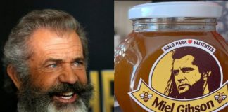 Mel Gibson quiere demandar a … ¿Miel Gibson? Mel Gibson