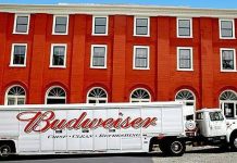 ¡Esta empresa pagará 5 mil dólares por hacer memes! Bud lights
