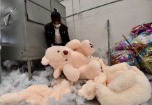 Muñecos de peluche, una de las industrias más afectadas por el COVID-19 Fabrica de peluches