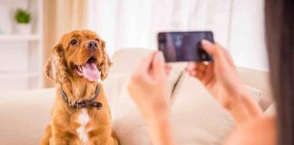 ¡Tu mascota merece esta aplicación! Cogui