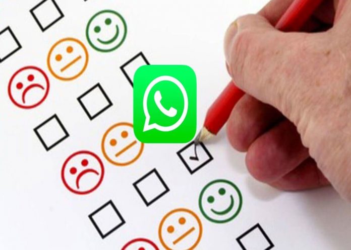 WhatsApp encuesta