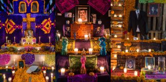 La red social de los muertos, conócela
