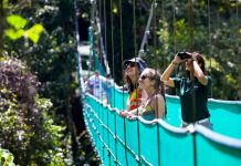 Entérate de la iniciativa de Costa Rica para reactivar su turismo