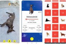 Todogs, el Pokémon Go de las mascotas Todogs