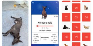 Todogs, el Pokémon Go de las mascotas Todogs