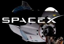 SpaceX y la vida de Musk serán llevadas a sus pantallas