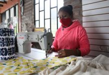 Emprendimientos que trasforman el mundo ecológico