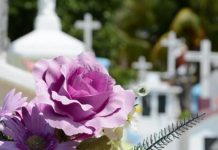 Organiza tu propio funeral con esta aplicación