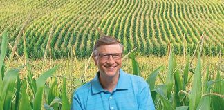 Gates y su nuevo negocio no tecnológico