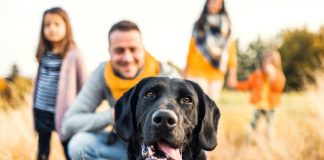 Empresas ingeniosas que transforman la industria de mascotas