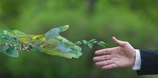 Ideas de negocio que están pensadas para mejorar la vida de las personas