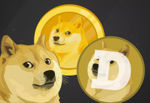 Dogecoin, la criptomoneda que está rompiendo el mercado