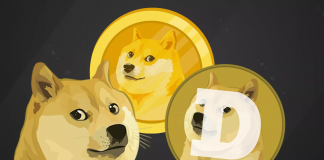 Dogecoin, la criptomoneda que está rompiendo el mercado