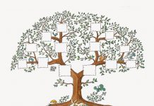 Árbol genealógico, te mostramos cómo hacerlo
