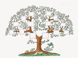 Árbol genealógico, te mostramos cómo hacerlo