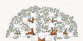 Árbol genealógico, te mostramos cómo hacerlo