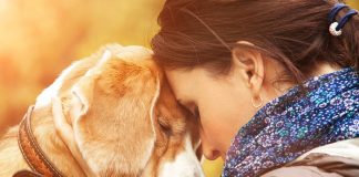 Comprender a tu mascota puede estar al alcance de una compra