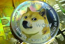 Dogecoin, una broma millonaria