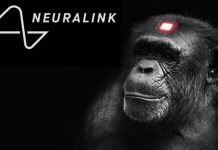 Musk busca el manejo mediante control mental y ya tiene resultados