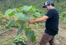 Una empresa que protege la naturaleza