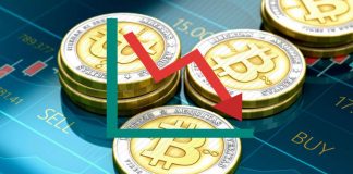 Criptomonedas, conoce su información clave