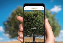 Woolaroo AI, un traductor para lenguas en peligro