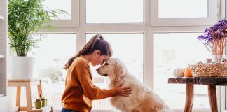 El sector de las mascotas rompe récords