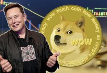 ¿Dogecoin cae?