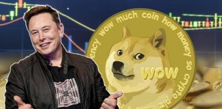 ¿Dogecoin cae?