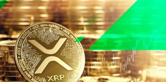 XRP, ¿Fraude o inversión?