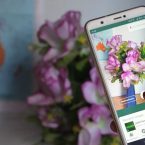 Identifica plantas con tu smartphone, ¿Cómo?