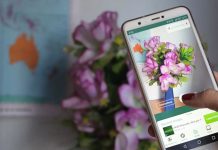 Identifica plantas con tu smartphone, ¿Cómo?