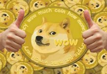 La criptomoneda de los memes aumenta su valor, ¿Por qué? criptomoneda