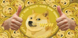 La criptomoneda de los memes aumenta su valor, ¿Por qué? criptomoneda