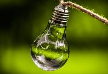 Green Marketing, la mejor opción para las marcas en el 2021