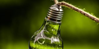 Green Marketing, la mejor opción para las marcas en el 2021