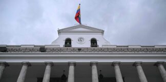 El gobierno reducirá el ISD de las materias primas al 0%, a partir de enero de 2025 | Economía | Noticias