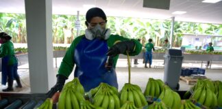 2.769 subpartidas de materias primas importadas pagan un ISD del 2,5% en 2025 | Economía | Noticias