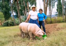 Rosanna Ramos-Velita, directora ejecutiva de Los Andes, explica cómo están ampliando los servicios financieros rurales.