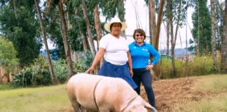 Rosanna Ramos-Velita, directora ejecutiva de Los Andes, explica cómo están ampliando los servicios financieros rurales.
