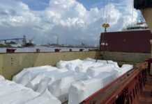 Ministro de Energía: Estamos dispuestos a cumplir la promesa de que no habrá más apagones en diciembre | Economía | Noticias