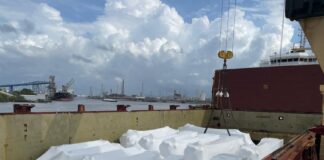 Ministro de Energía: Estamos dispuestos a cumplir la promesa de que no habrá más apagones en diciembre | Economía | Noticias