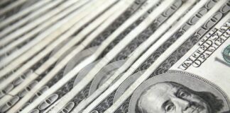 El Tesoro desembolsó $778,7 millones en pagos y transferencias entre octubre y noviembre | Economía | Noticias