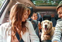 Guillermina Silva de TripWip sobre su ronda de 750.000 semillas y su estrategia de expansión •