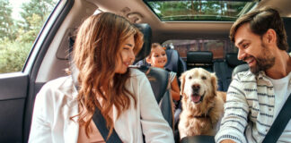 Guillermina Silva de TripWip sobre su ronda de 750.000 semillas y su estrategia de expansión •