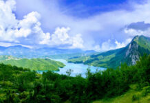 IFC invierte $2 millones en ProNuvo, una empresa costarricense de alimentos proteicos para insectos.