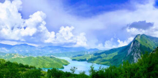 IFC invierte $2 millones en ProNuvo, una empresa costarricense de alimentos proteicos para insectos.